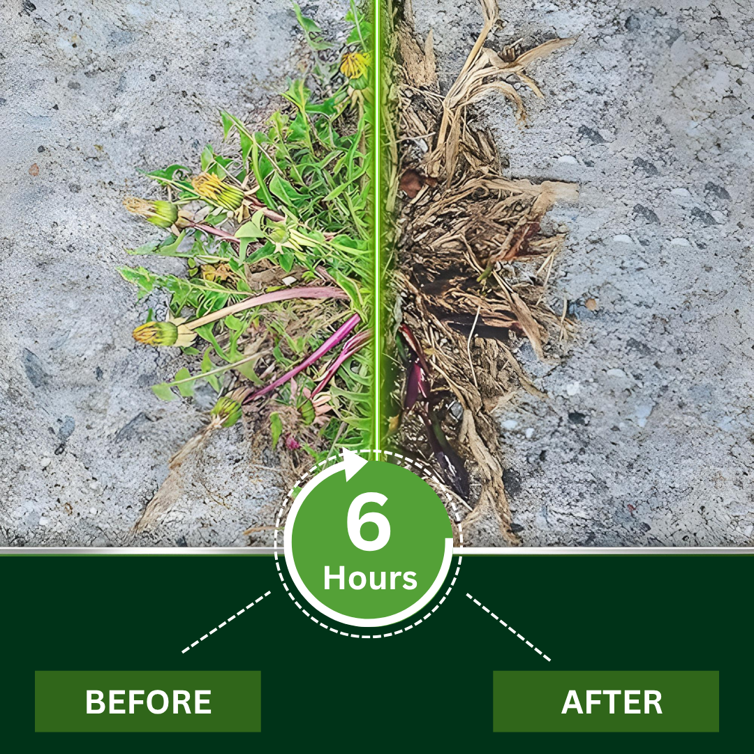 Zakdaviโข2 in 1 Max Power Herbicide (๐๐% ๐๐ฝ๐ฝ ๐๐ก๐๐ฆ ๐๐ก ๐ญ๐ฌ ๐ ๐๐ก๐จ๐ง๐๐ฆ)