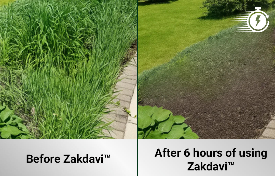 Zakdaviโข2 in 1 Max Power Herbicide (๐๐% ๐๐ฝ๐ฝ ๐๐ก๐๐ฆ ๐๐ก ๐ญ๐ฌ ๐ ๐๐ก๐จ๐ง๐๐ฆ)