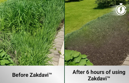 Zakdavi™2 in 1 Max Power Herbicide (𝟟𝟘% 𝕆𝔽𝔽 𝗘𝗡𝗗𝗦 𝗜𝗡 𝟭𝟬 𝗠𝗜𝗡𝗨𝗧𝗘𝗦)